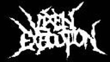 logo Vixen Execution